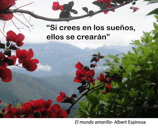 Si cree en los sueños, ellos se crearán